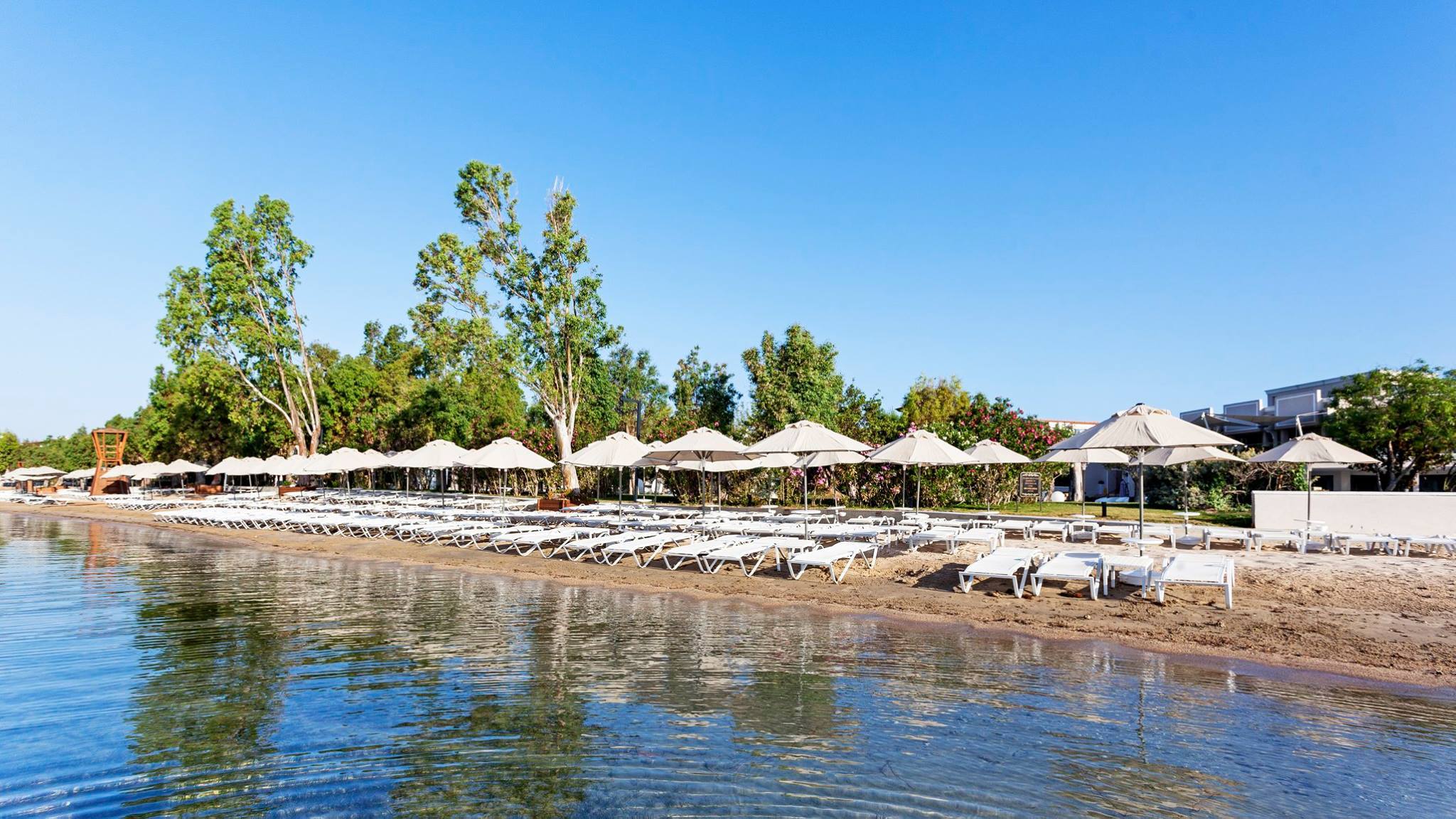 imagini hotel AURUM DIDIM